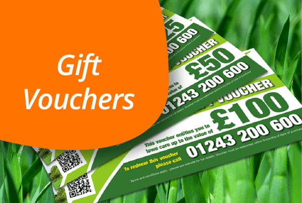 gift vouchers