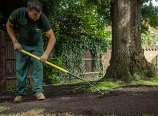 Lawn Regeneration