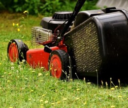 lawn-mower