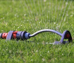 Watering Advice sprinkler