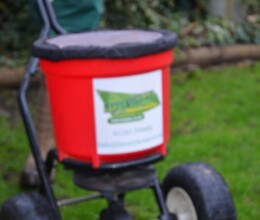 Early Summer Treatment