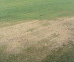 Dry-patch